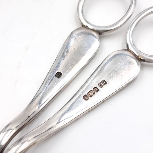 948 - A super pair of heavy sterling silver Victorian grape scissors. Hallmarked Sheffield, with date lett... 