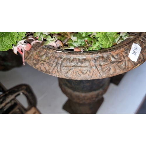 425 - Pair of cast iron urn planters with ornate detailing, each with square bases showing weathered patin... 