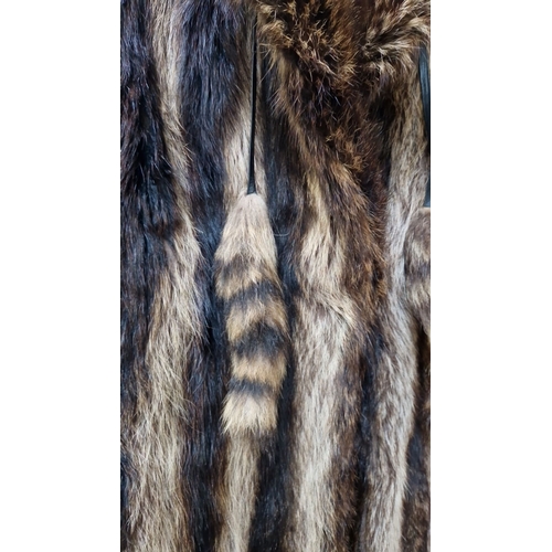 463 - A beautiful vintage musquash fur coat, featuring striped pelts and decorative tails. Fur is in lovel... 