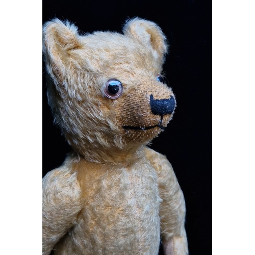 699 - Early 20th-century mohair jointed teddy bear with glass eyes, stitched nose and mouth. Charming pati... 