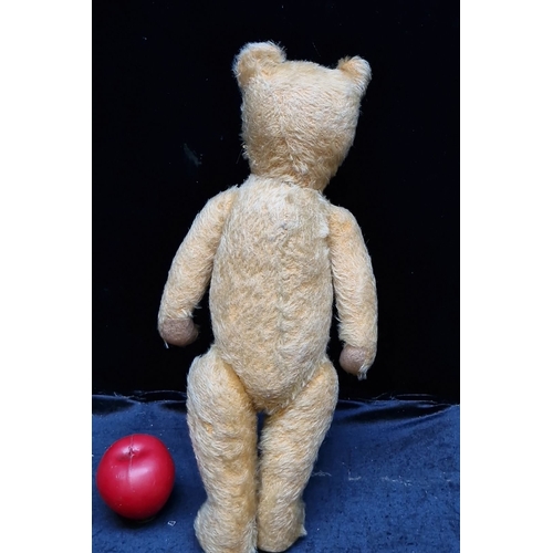 699 - Early 20th-century mohair jointed teddy bear with glass eyes, stitched nose and mouth. Charming pati... 