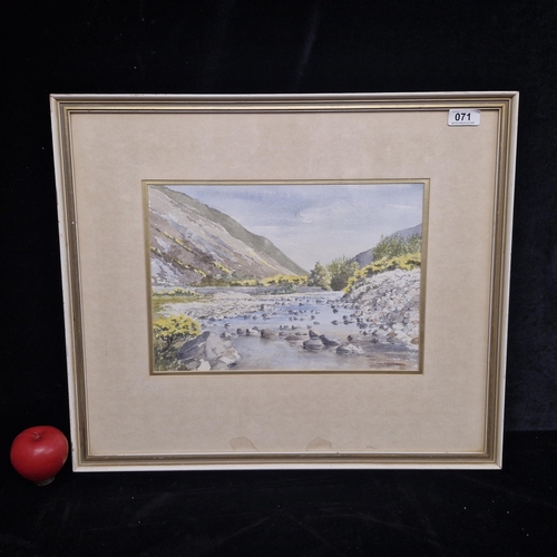 1191 - A sweet watercolour on paper painting. Features an Irish landscape scene with yellow gorse flower sh... 