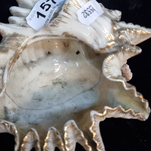 157 - A fabulous Belleek 1st period mark circa.1863-1891 black stamp porcelain conch shell. Feature pretty... 