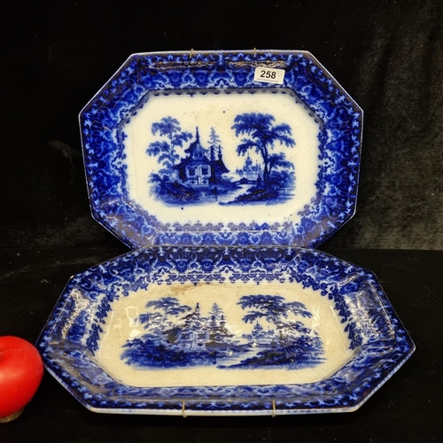 258 - Two beautiful mid 19th century blue and white porcelain serving platters from makers T J & J Mayer. ... 