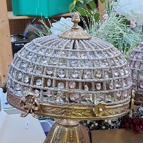 683 - Star Lot : A fabulous Pair of ornate French-style urn lamps with gilt bronze mounts and crystal dome... 