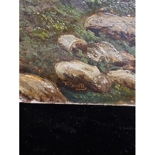 106 - Star Lot: Tom Scott R.S.A. (Scottish b. 1854 - d. 1927). Two fabulous original oil on board landscap... 