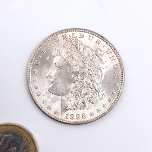 Lot 556       