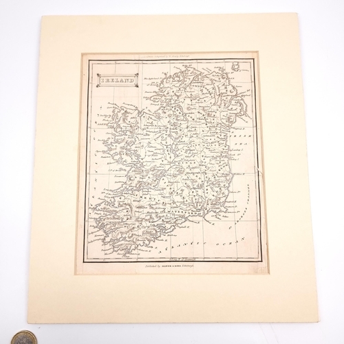 Lot 565       