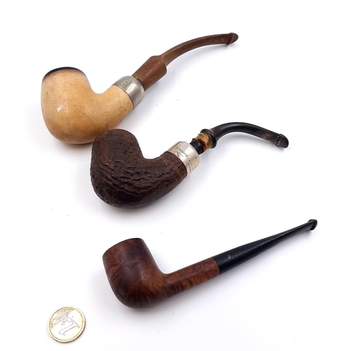 Lot 585       