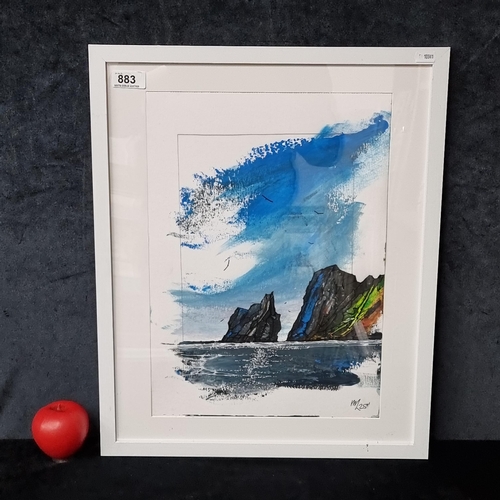 Lot 883       