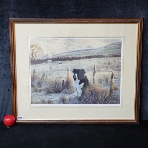 Lot 900       