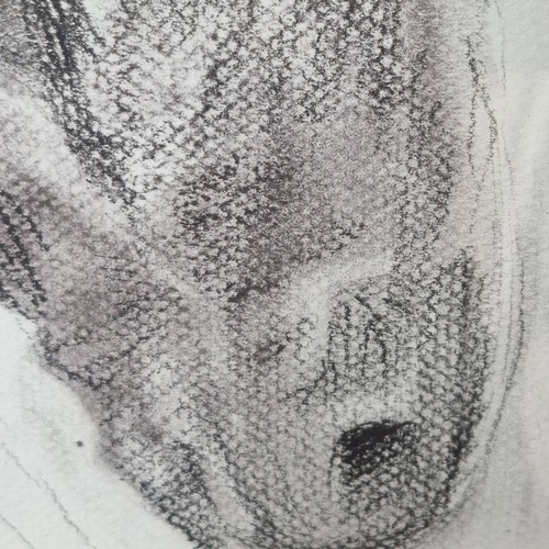 916 - Star Lot: 'Lia Laimbock (b.1965)' A large original  'Lia Laimbock (b.1965)' charcoal and pencil on p... 