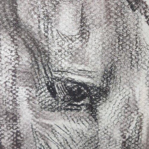 916 - Star Lot: 'Lia Laimbock (b.1965)' A large original  'Lia Laimbock (b.1965)' charcoal and pencil on p... 