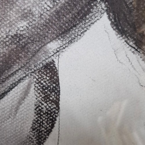 916 - Star Lot: 'Lia Laimbock (b.1965)' A large original  'Lia Laimbock (b.1965)' charcoal and pencil on p... 