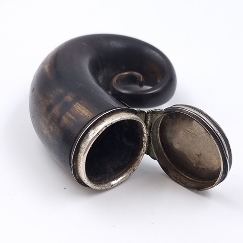 52 - Star Lot: An antique Scottish ram's horn snuff mull with an inscribed hinged lid, possibly silver. T... 