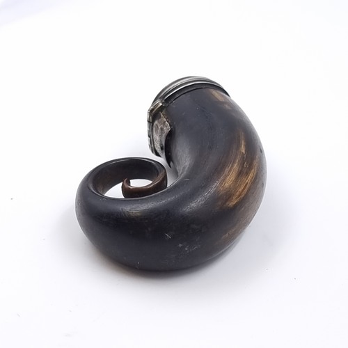 52 - Star Lot: An antique Scottish ram's horn snuff mull with an inscribed hinged lid, possibly silver. T... 