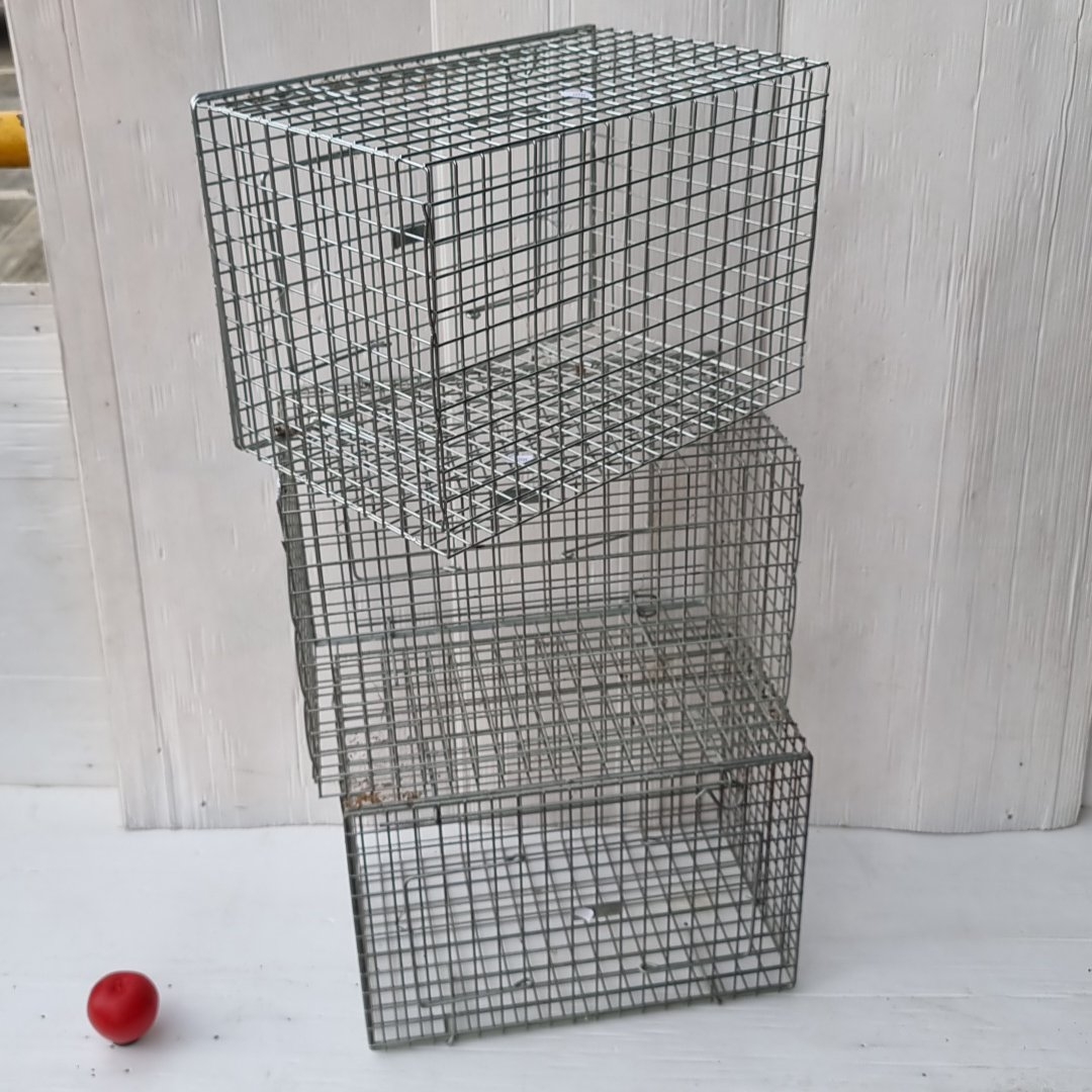 Group of three rectangular galvanized wire mesh cages with hinged ...