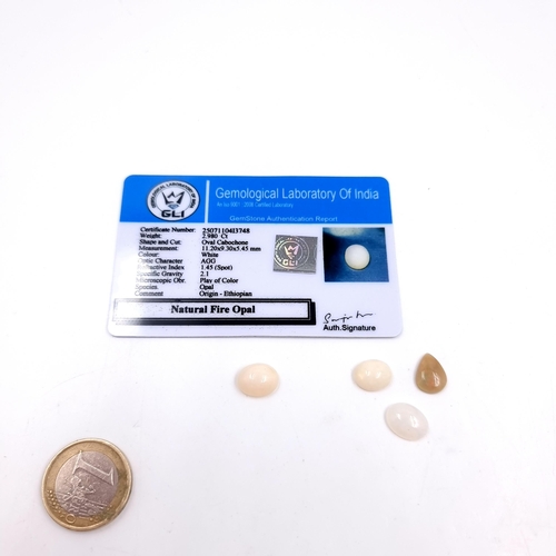 A Natural Oval Cut Cabochon Fire Opal from the Gemological Laboratory of India. Weight - 2.980CT. Comes with certificate of Authenticity. Lot also includes three further Fire Opals. Weight - 5.85CT.

Previous in auction on T201125  - 23/11/2025 with Lot no.848