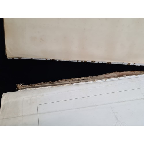 122 - Super Star Lot :  An amazing, outstanding very very large cloth bound folio book entitled 