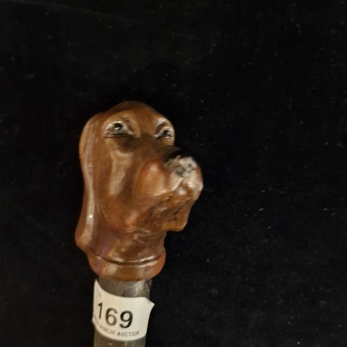 169 - A highly unique gentleman's walking cane with handle in the form of a dogs head.