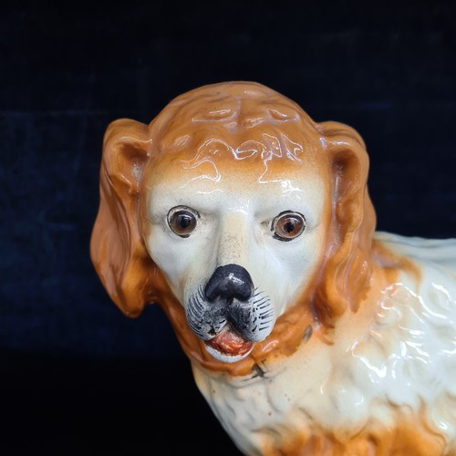 111 - A rare and unusual large mid 19th century antique heavy Staffordshire Dog. In excellent condition wi... 