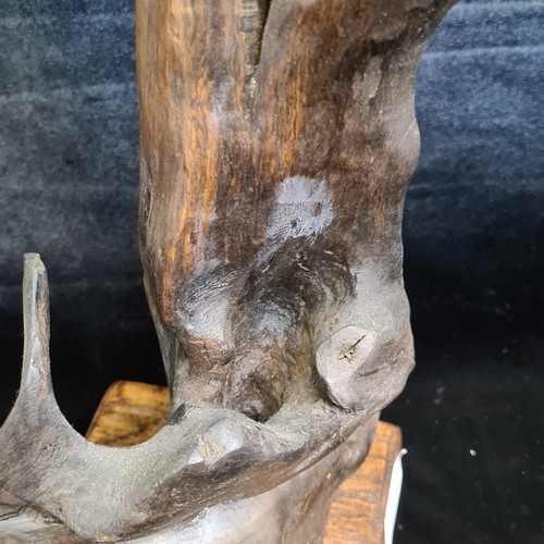 117 - Star Lot : A fabulous prehistoric Irish Bog Oak Statue. There is no better material for interesting ... 