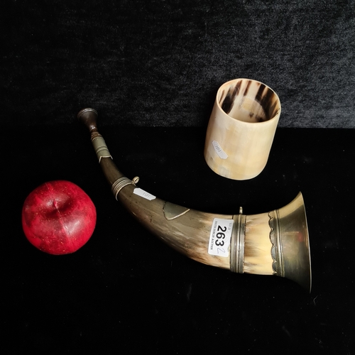 Lot 263       