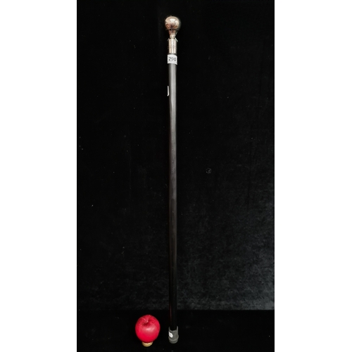 Lot 290       