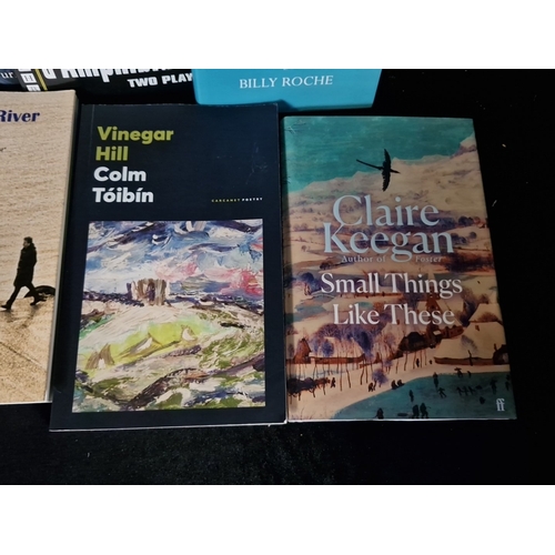 Set of 7 modern Irish literary paperbacks, including Joe Neal, Pierce ...