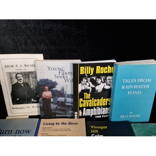 Set of 7 modern Irish literary paperbacks, including Joe Neal, Pierce ...