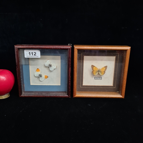 112 - Two sweet butterfly taxidermy pieces. Both housed in wooden frames behind glass. Breeds of butterfli... 