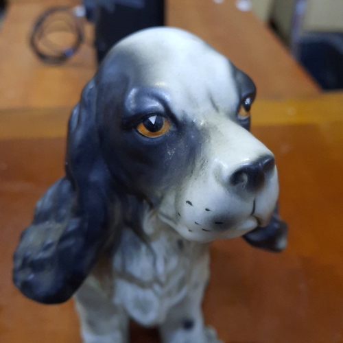 1080 - Pair of German porcelain modelled spaniel dogs, seated and naturalistically painted in grey and whit... 