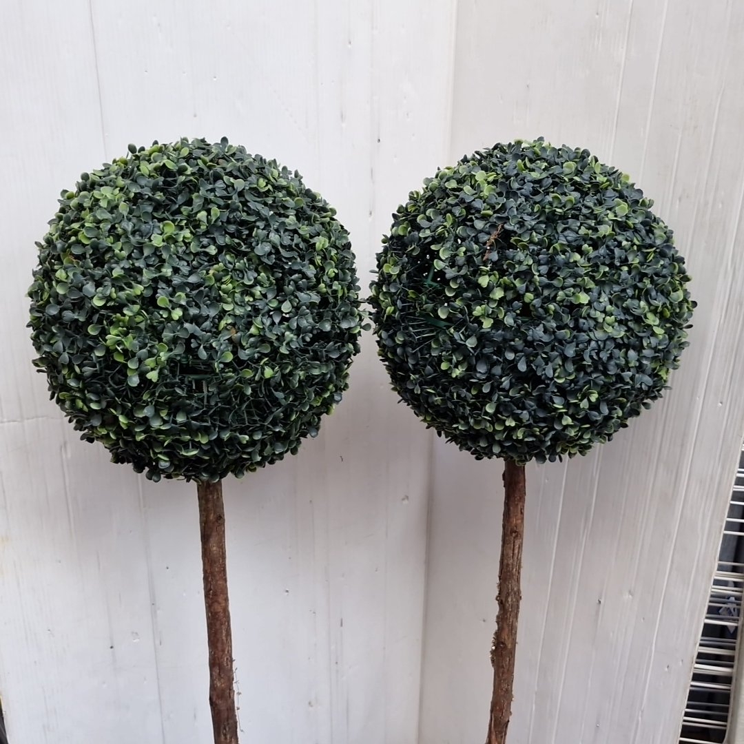 2 artificial boxwood topiary standards, each with a dense spherical ...