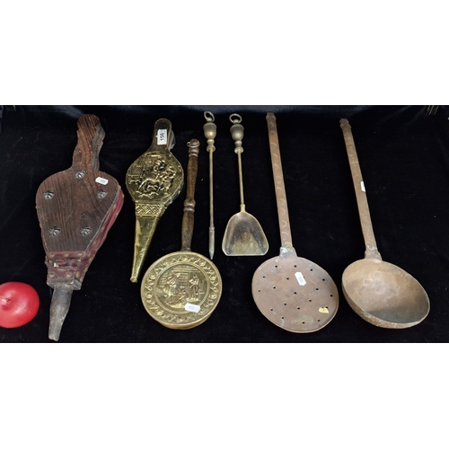 156 - A lot of fireside accessories including chestnut warmer, fire irons, bellows etc.