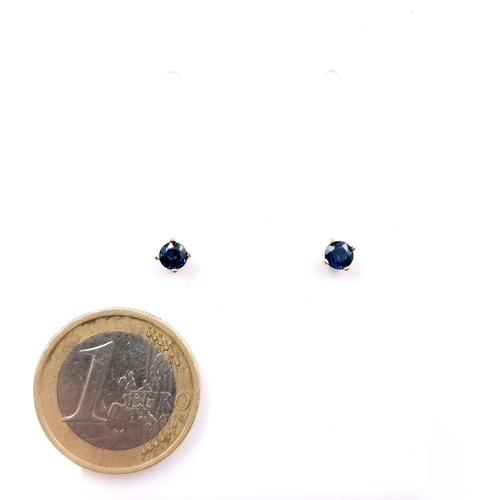 13 - Star Lot: A pretty dainty pair of Sapphire stud earrings set in 14 carat gold. Weight - 0.6 grams. P... 