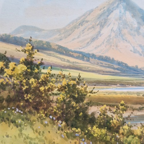 Star Lot: 'George Trevor' An excellent 'George Trevor' watercolour on ...