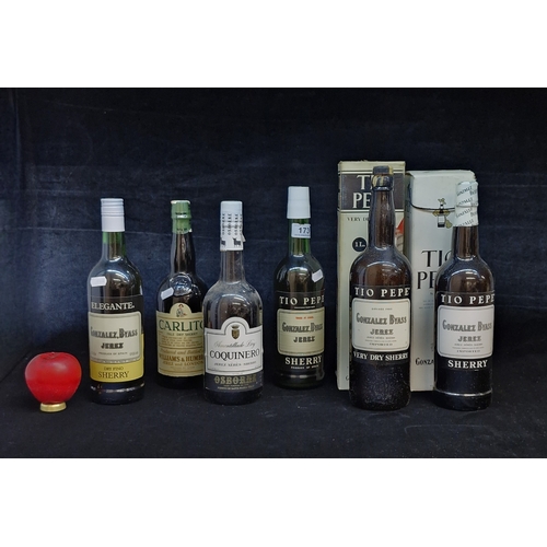 Lot 173       