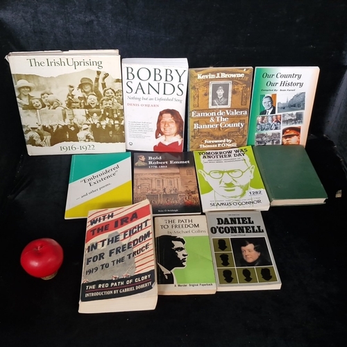 A group of Irish historical and political paperbacks and books ...