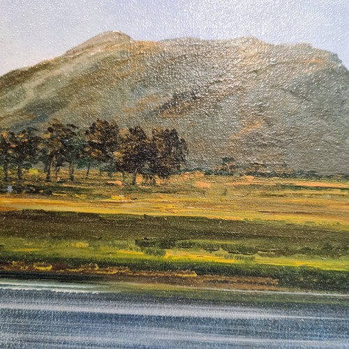 63 - Star Lot: A brilliant large 'Brendan Hayes (Irish, 20th/21st Century)' oil on board painting titled ... 