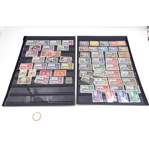 Lot 53        