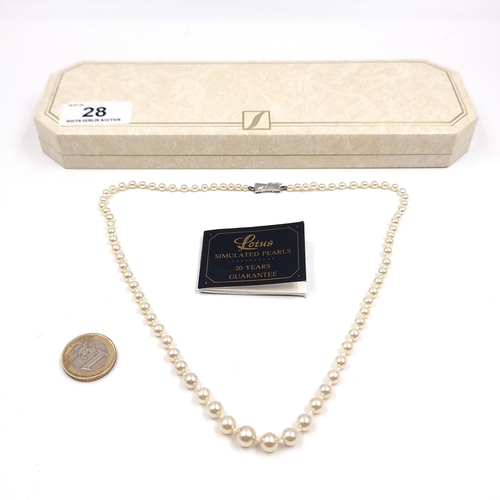 Lot 28        