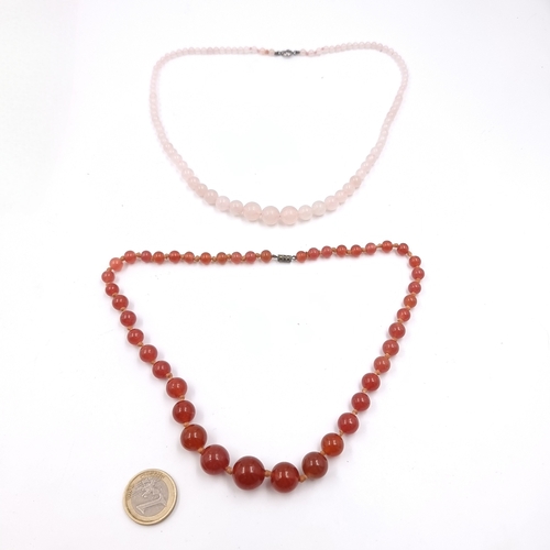 Lot 20        
