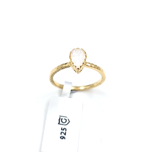 Lot 20        