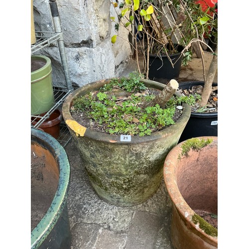 Lot 21        