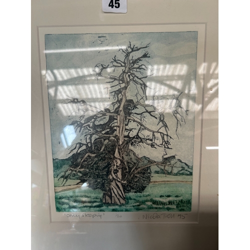 Lot 45        