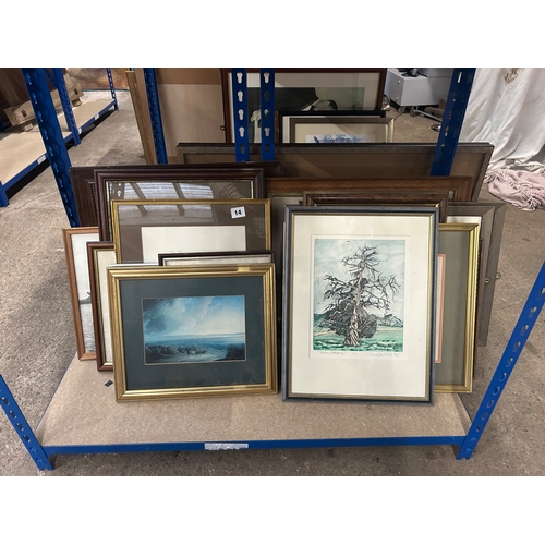 Lot 14        