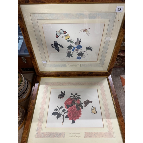 Lot 55        