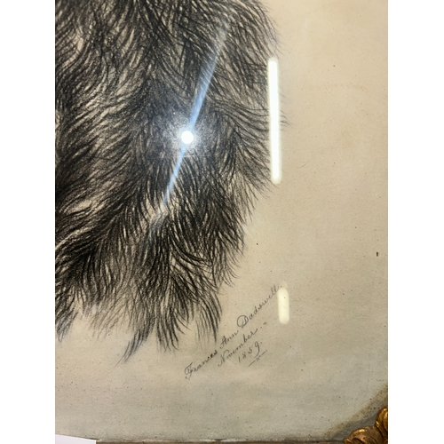 31 - ‘Frances Ann Dodswell’, shoulder-length portrait, bearded gentleman, charcoal in gilt frame, signed ... 