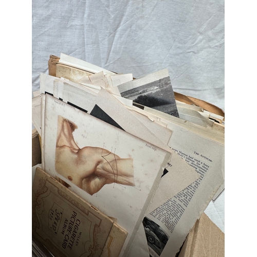 24 - Daresbury Nuclear physics laboratory annual reports and related titles