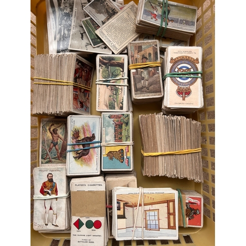 Lot 23        
